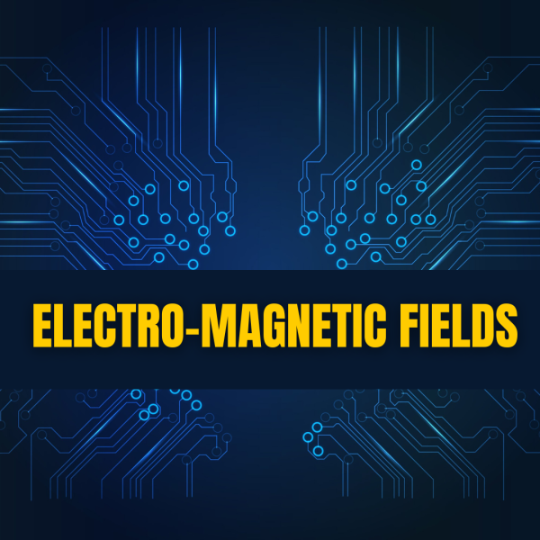 electro magnetic fields